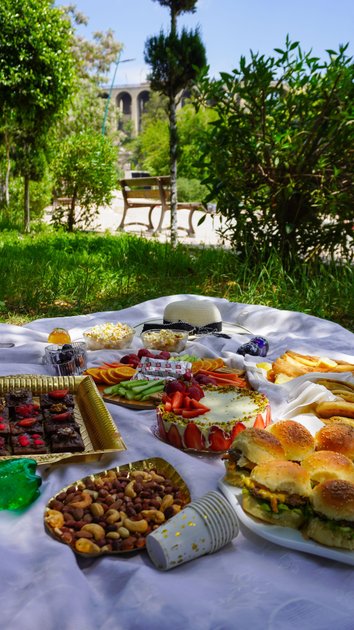 QV Bondage Picknick